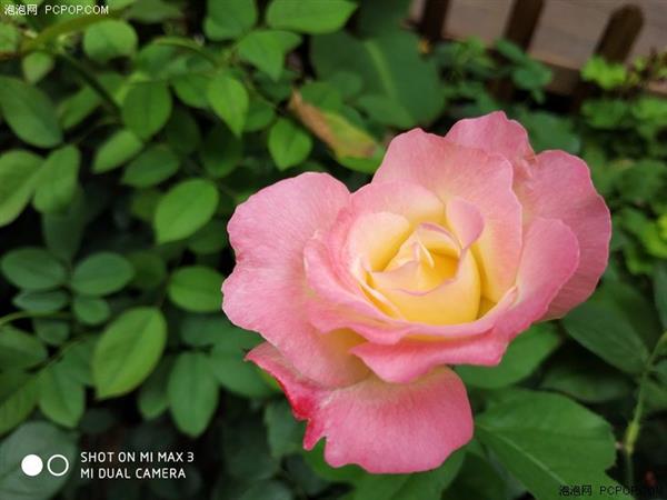 小米Max 3上手：6.9寸屏单手可握 5500mAh续航超长