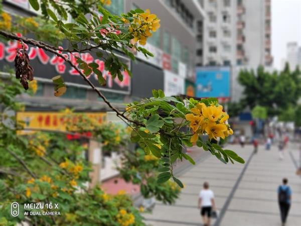 魅族16th和魅族16X对比：600元差价在哪里