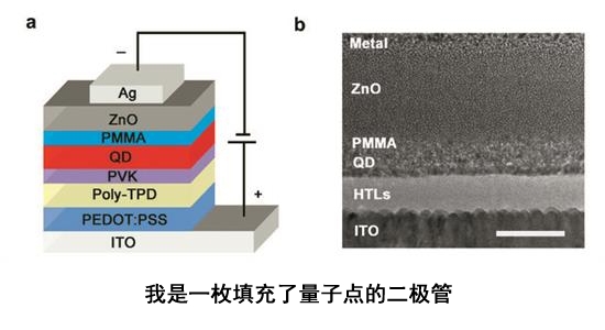 国产造出秒AMOLED的QLED：跟OLED有和区别？