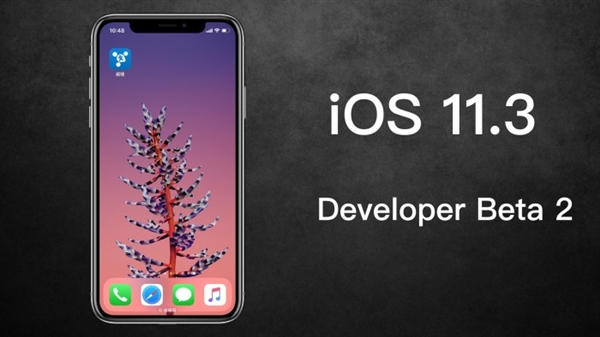 喜大普奔！<a href='https://www.apple.com/cn/' target='_blank'><u>苹果</u></a>发iOS 11.3新测试版：手动降频按钮来了