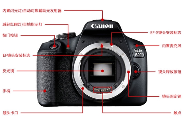 佳能发布入门单反EOS 1500D/3000D：AI辅助自动对焦