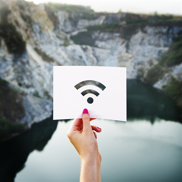 最新研究：Wi-Fi、手机网络对地球野生物种构成“切实”威胁