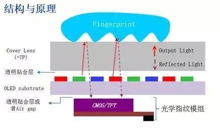 小米8探索版不完全拆解：我们发现了一个秘密