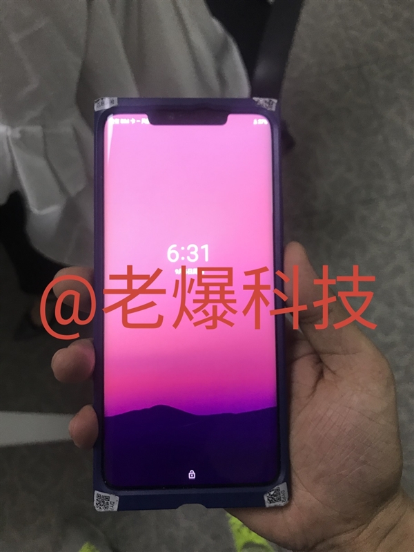 <a href='https://www.huawei.com/cn/?ic_medium=direct&ic_source=surlen' target='_blank'><u>华为</u></a>Mate 20外形曝光：刘海屏、下巴非常窄