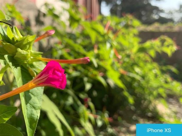 Mate20 Pro对比iPhone XS：华为凭这几点稳了