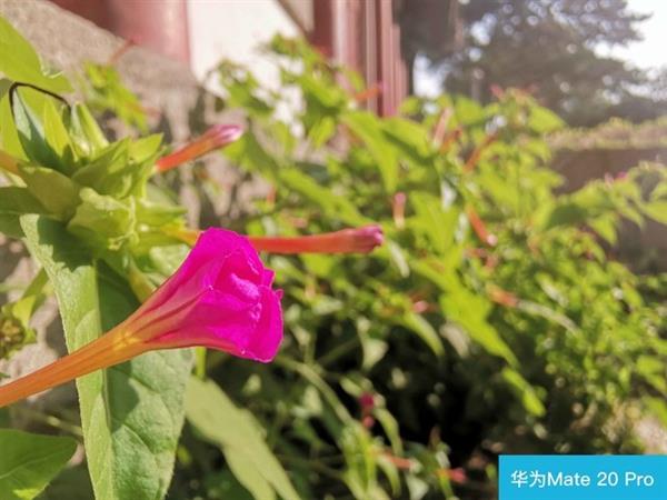 Mate20 Pro对比iPhone XS：华为凭这几点稳了
