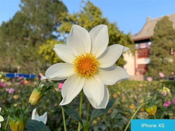 Mate20 Pro对比iPhone XS：华为凭这几点稳了
