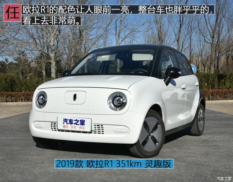 长城汽车 欧拉R1 2019款 351km 灵趣版