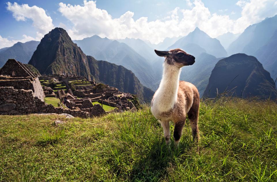 中国游客增长尤为显著 秘鲁旅游业持续高速发展