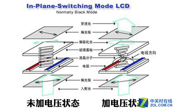 OLED、LCD科普：屏幕背后的故事你知道吗？