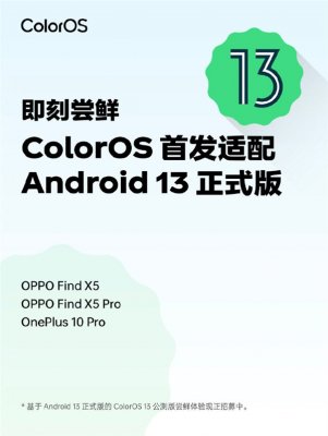 Android 13正式版发布！ColorOS首发适配