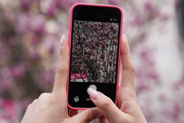 iPhone 17e：基础版 不基础